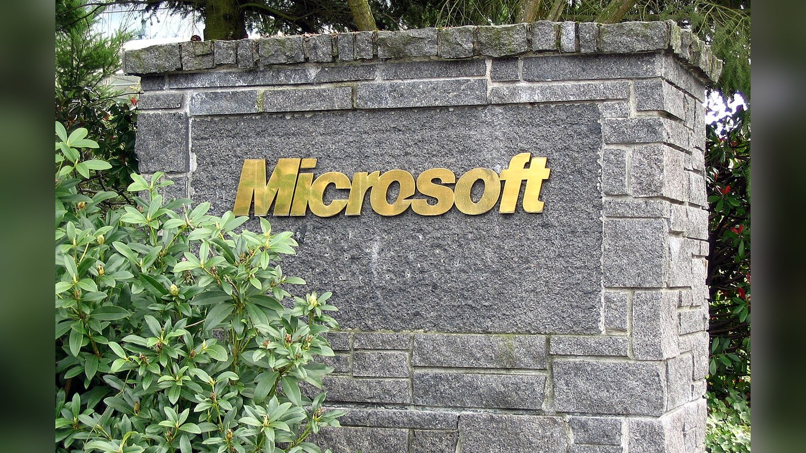 Office 2016 et 2019 perdent soudain leur activation, une mise à jour soupçonnée